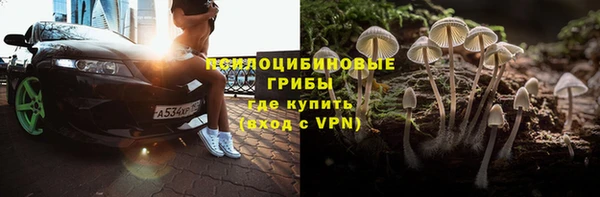 apvp Коряжма