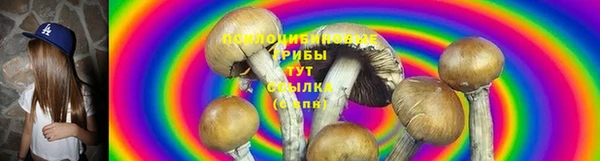 эйфоретик Корсаков