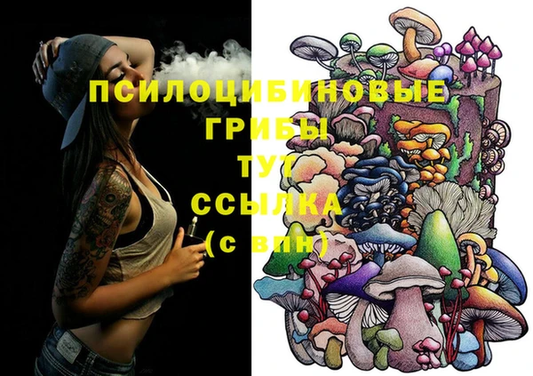 эйфоретик Корсаков
