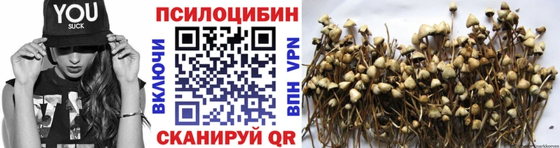 Псилоцибиновые грибы Magic Shrooms  Купить  Горняк 