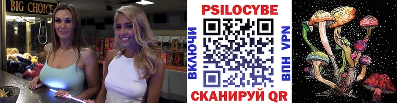 Псилоцибиновые грибы Psilocybe Горняк